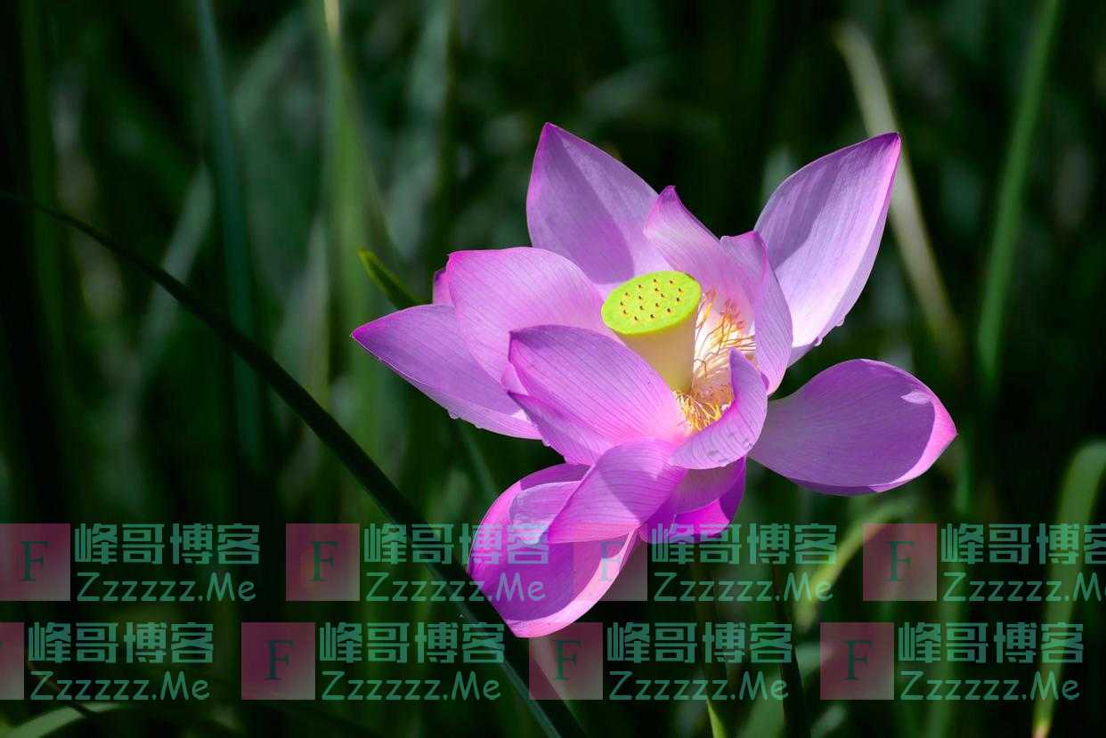 人到晚年,如果老伴先走了,请主动依靠这三个人