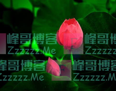 人到晚年,如果老伴先走了,请主动依靠这三个人