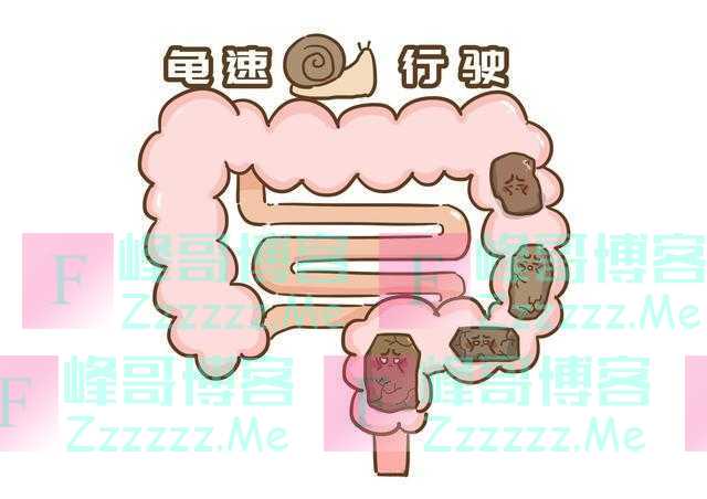 肠道“推粪机”公布了,香蕉不在列,建议多吃,大肚腩或离你而去