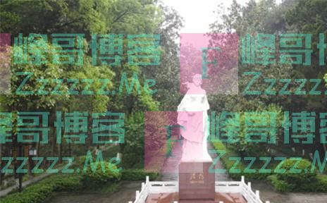 1962年毛岸青回乡祭母，在墓碑前跪拜时遭妻子制止，顿时心领神会