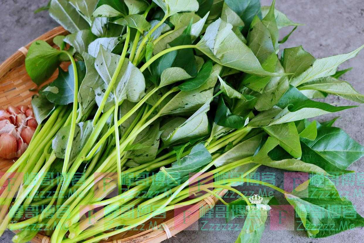 藏在身边的“长寿菜”,一通便,二养肝,三降压,鲜嫩应季又便宜