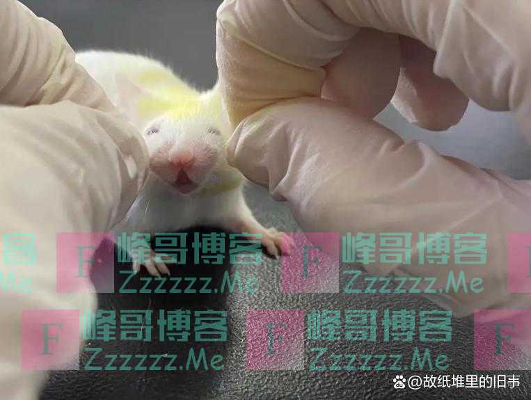 二战时日军给女性注射的“606药剂”是什么?对女性伤害有多大?