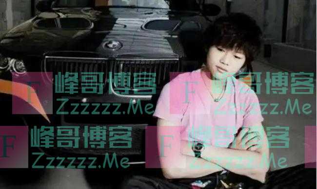 一纸退休金，彻底揭开了李双江的遮羞布，他终究还是付出了代价