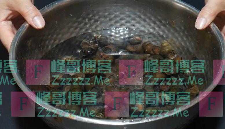 洗花蛤，只用盐水泡就错了！老渔民：花蛤这样泡一泡，狂吐沙！