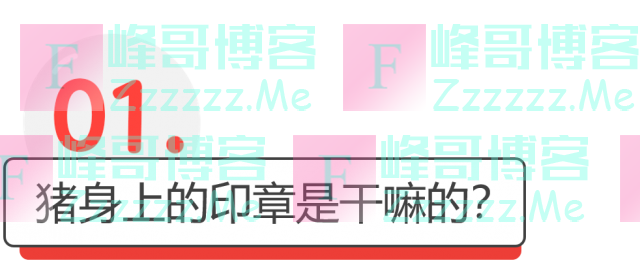 猪肉为什么有的盖蓝章有的盖红章?吃了会不会有问题?