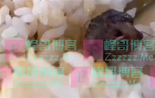 学校食堂吃出的是老鼠头还是鸭脖？最新进展：江西省教育厅介入