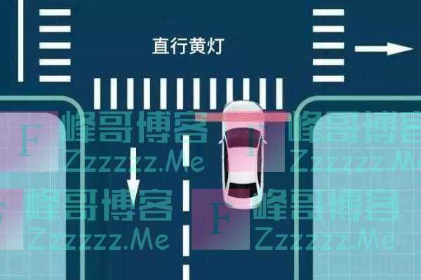 误闯红灯后，到底走还是停？这样做1分也不扣