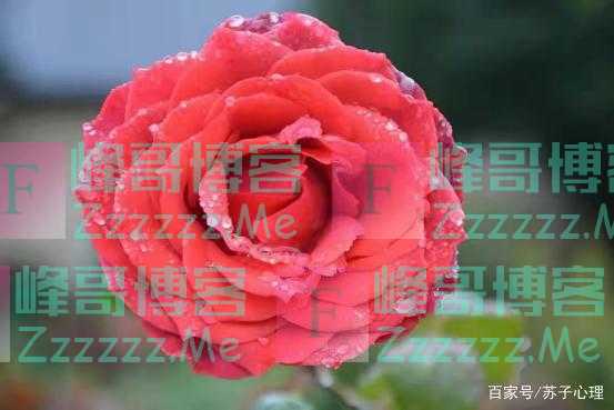 “人若有福，一看便知”，有福气的人，身上会有这4大特征