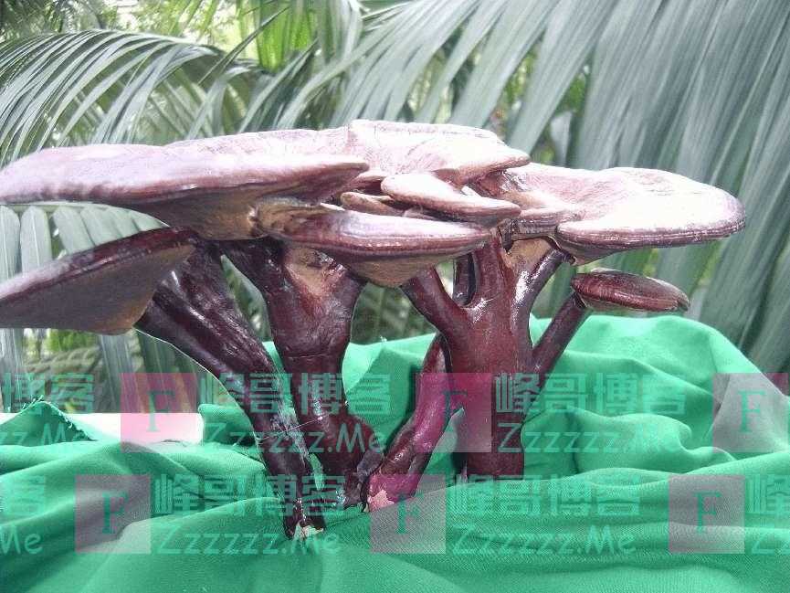 古人为什么用“云雨”一词形容男女之事?背后有一个故事四点原因