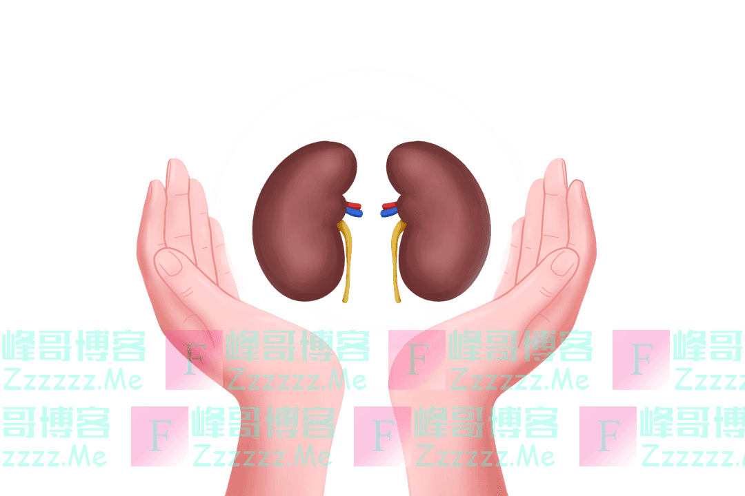 男人吃腰子能养肾?医生:真正补肾的是这4物,可能多数人不爱吃