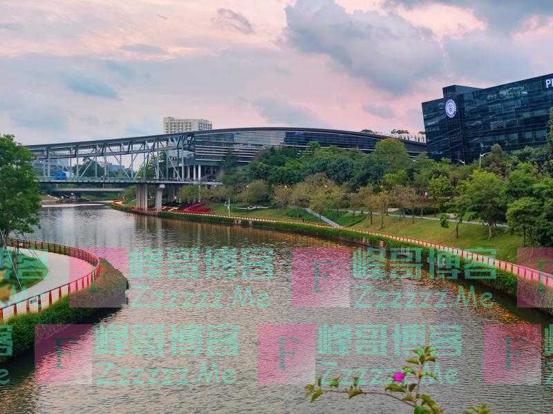 一批985毕业生选择主动“延毕”,有人故意挂科以获取资格
