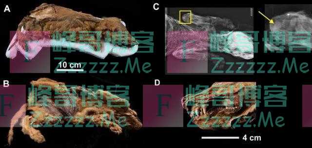 霍金的6个预言：3个正在上演，为何不要惹恼外星人？