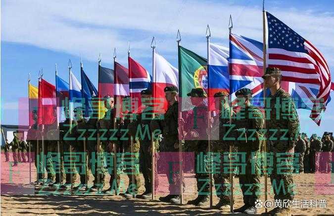 北约有30多个成员国，为何仍然不敢联合美国，一起击败俄罗斯？