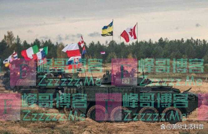 北约有30多个成员国，为何仍然不敢联合美国，一起击败俄罗斯？