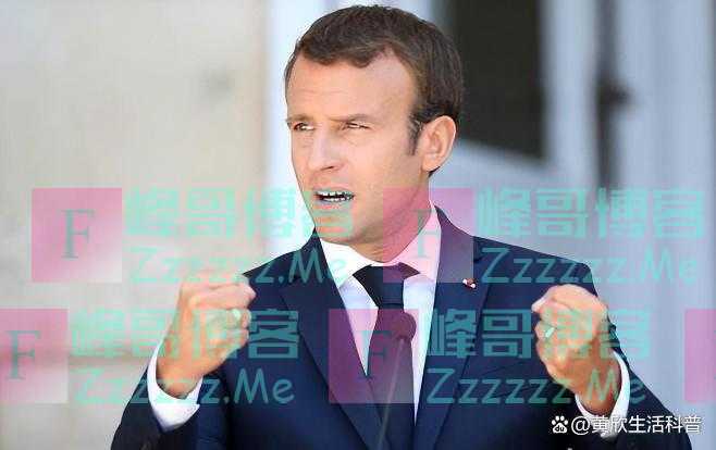 北约有30多个成员国，为何仍然不敢联合美国，一起击败俄罗斯？