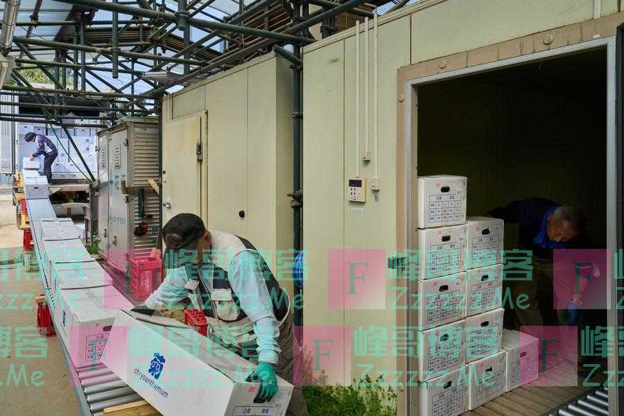 日本为何出现巨额贸易逆差