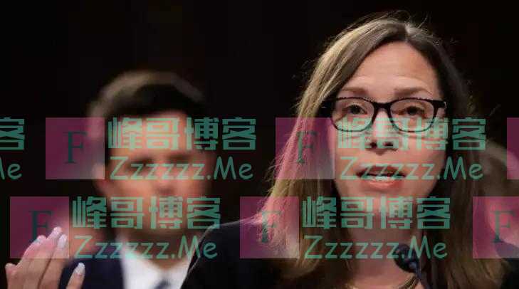 48小时内，台湾3大“候选人”接连表态，美在台官员：美绝对支持