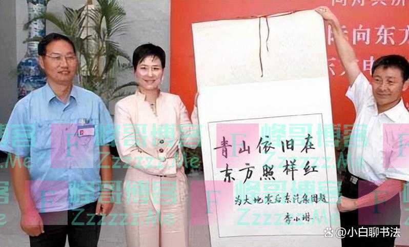 清华大学高材生李小琳书法真严谨！行书王风启韵，楷书柳骨启功意