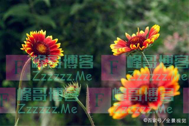 人若短寿,隐藏不住:爱做以下事的人,很难长寿