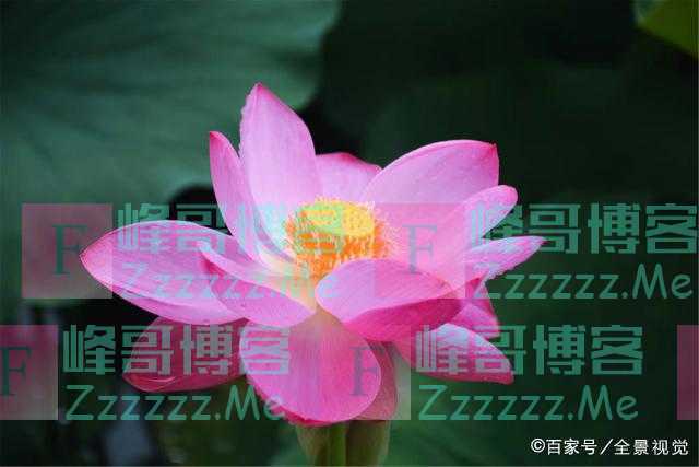 人若短寿,隐藏不住:爱做以下事的人,很难长寿