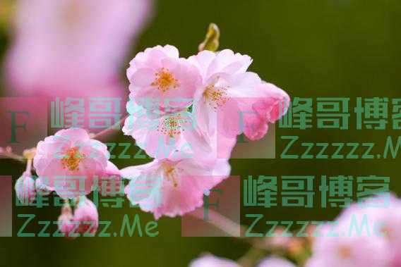 人到六十岁，出现这三个征兆，是老天在渡你，晚年大幸