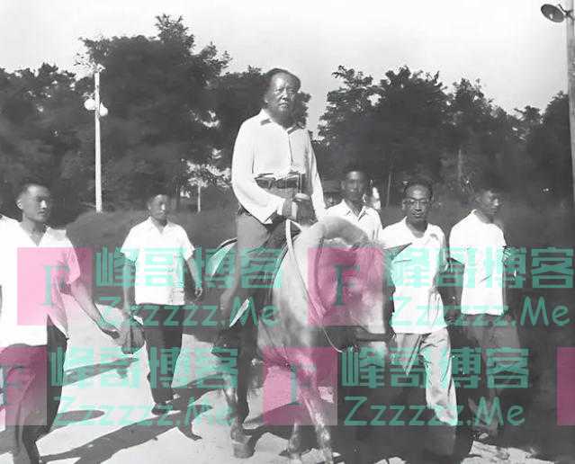 白云山老和尚，为何对毛主席说：别人能游黄河，唯独主席不行？