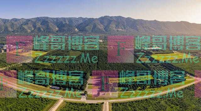 “墓碑四不立，立后人丁散”具体是指哪四不立？讲究又是什么？