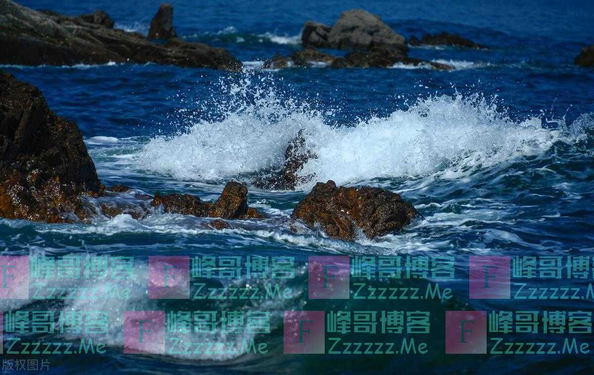 人到中年，没有爱情