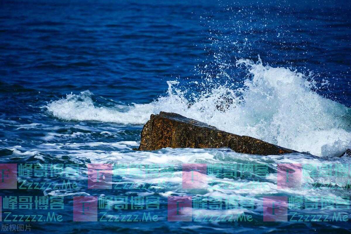 人到中年，没有爱情