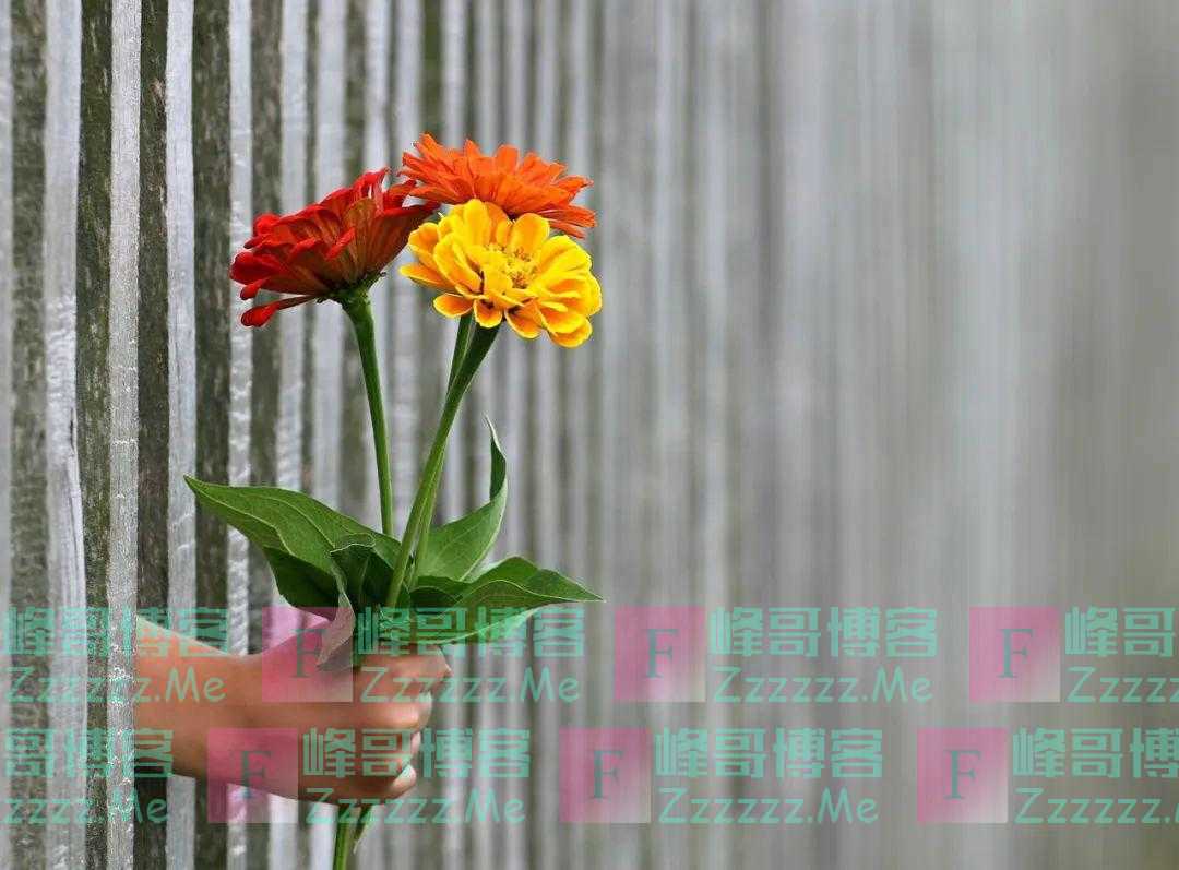 异性之间关系再好，过了中年，也无非就是冲着2个方面去的