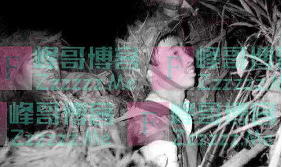 1987年中越交锋最惨烈的一役,让邓公为之落泪,黑豹行动仅8人回来