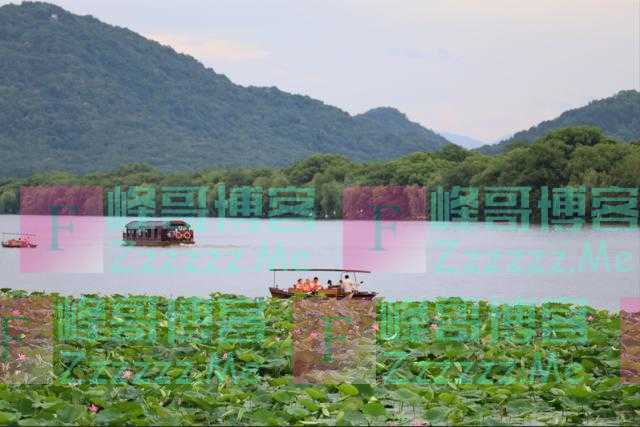 西湖荷花开了！跟着这份赏荷地图，一同寻味西湖！