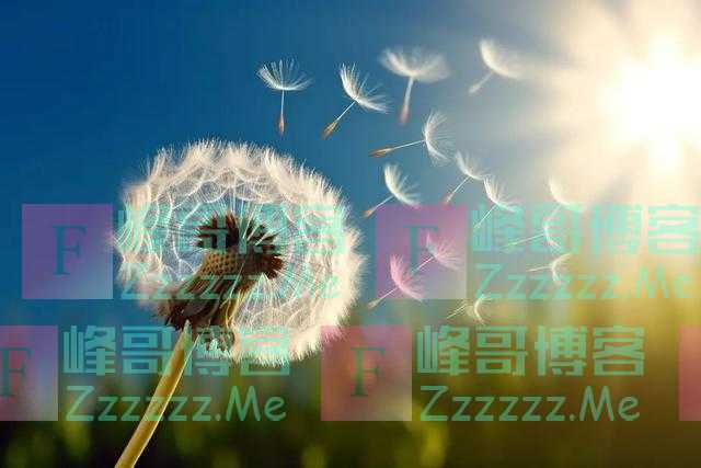 这样回你微信的人，别去讨好了