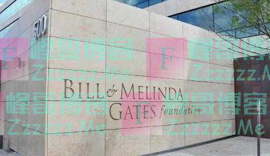 马斯克未接见的人，为何比尔盖茨接见？规格不同？