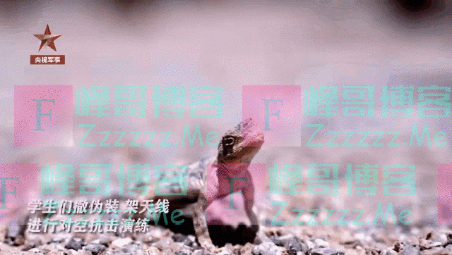 本科毕业考核竟然是打导弹！网友：补考需要自费吗？