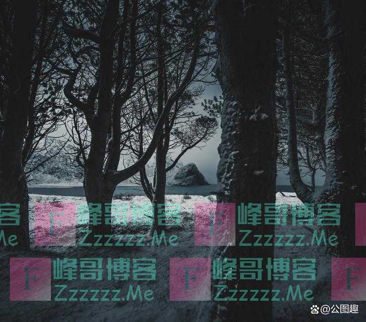 图集：芬兰摄影师镜头中的壮美自然
