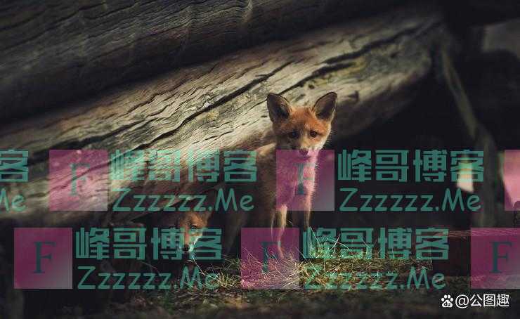 图集：芬兰摄影师镜头中的壮美自然