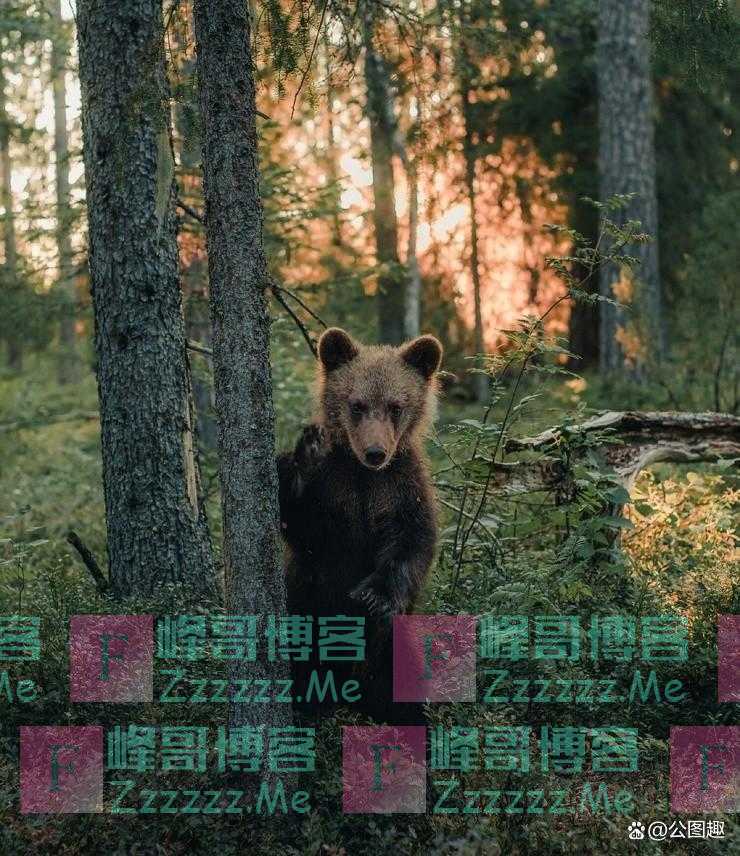 图集：芬兰摄影师镜头中的壮美自然