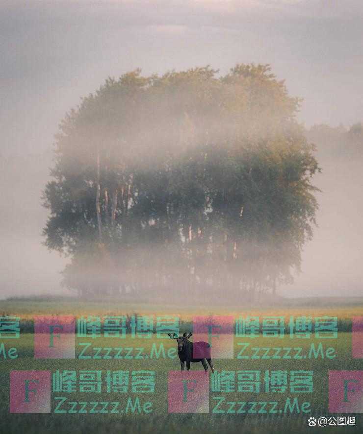 图集：芬兰摄影师镜头中的壮美自然