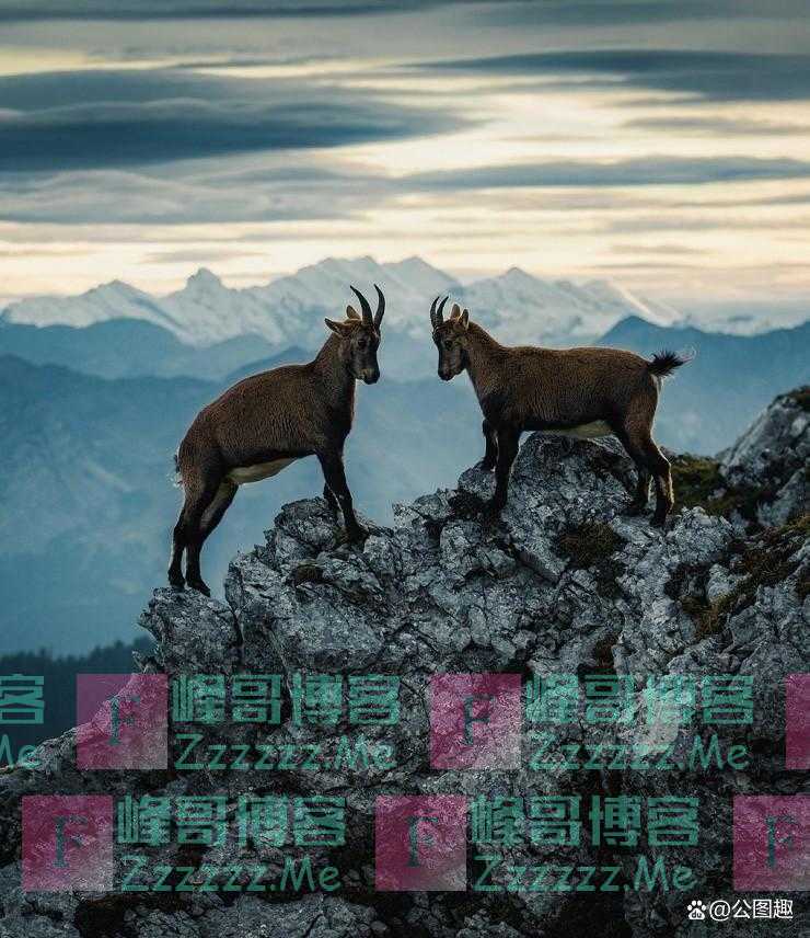 图集：芬兰摄影师镜头中的壮美自然