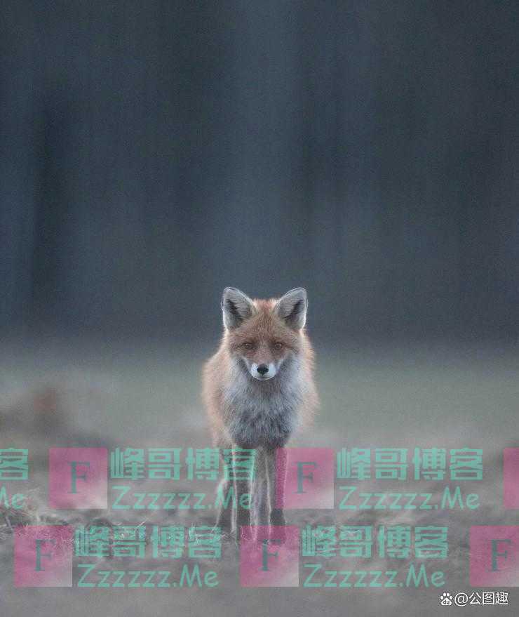 图集：芬兰摄影师镜头中的壮美自然