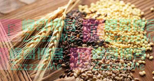 从小麦到玉米，这些谷物是如何影响人类文明的？