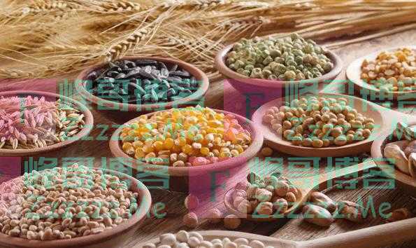 从小麦到玉米，这些谷物是如何影响人类文明的？