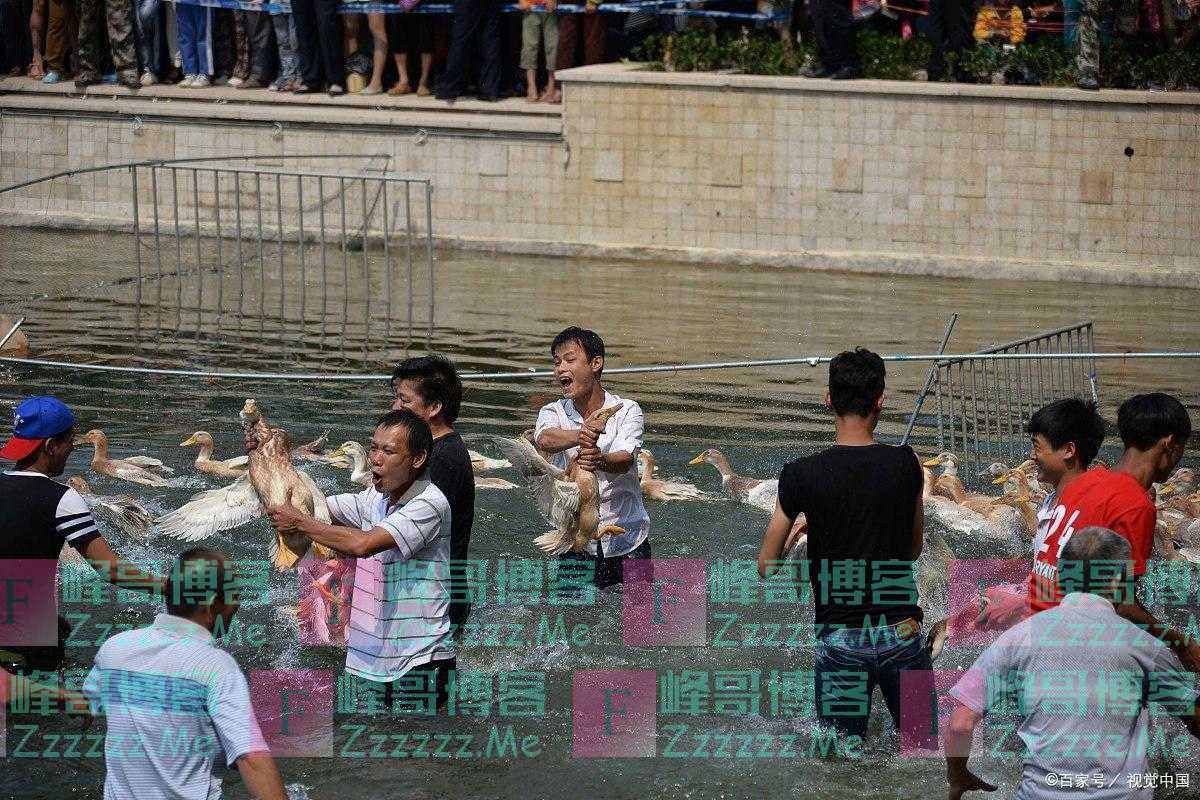 有什么是你去了福建才知道的?