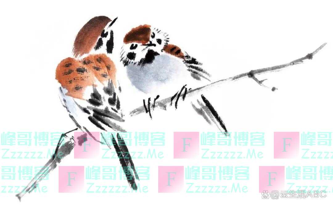 一笔一画学画麻雀，初学者看过来