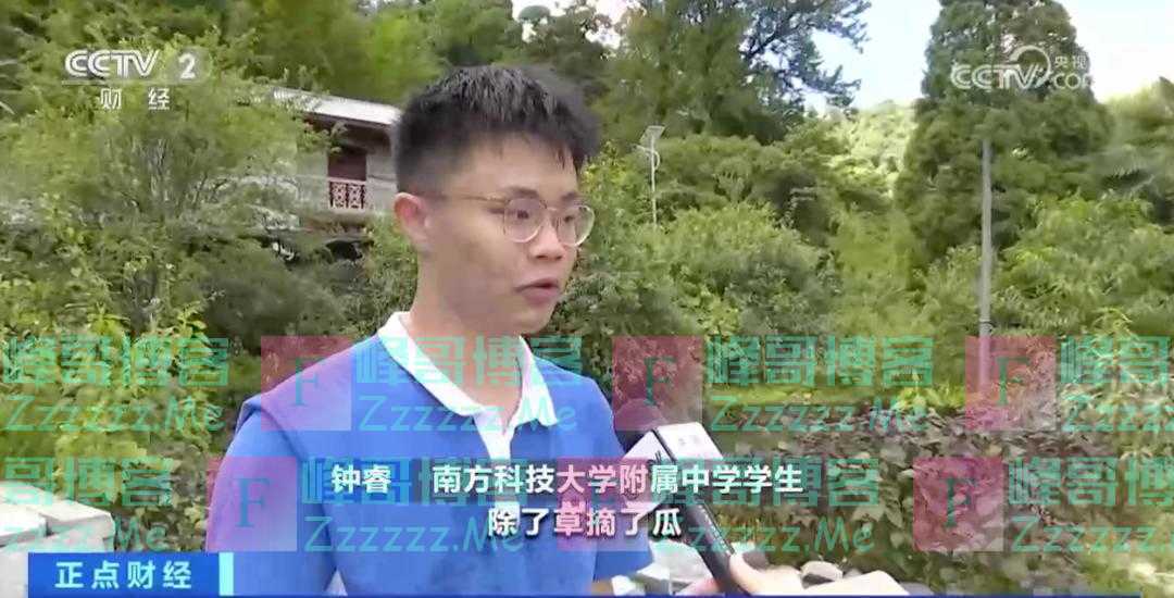 销量暴增400%！“人均约4000元，订单排到了8月”！这个盛夏，“它”爆火