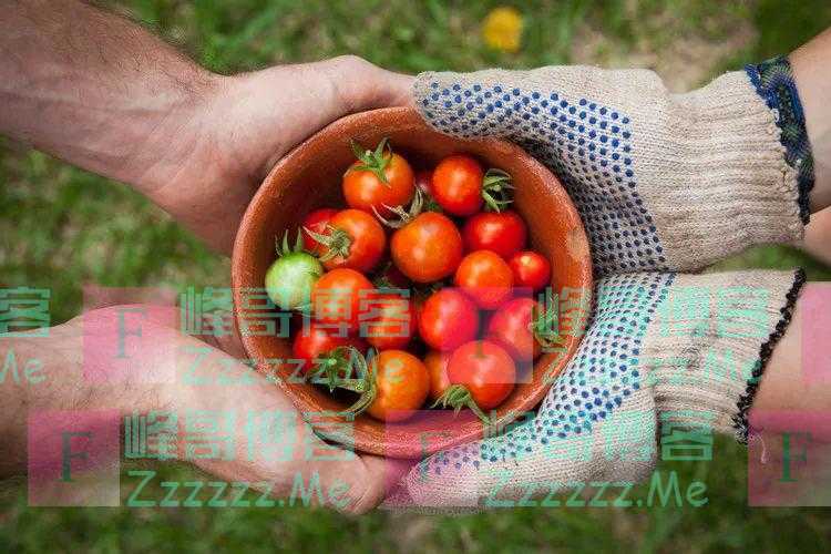 “植物中的黄金”藏在它身上！生吃、熟吃哪个更好？