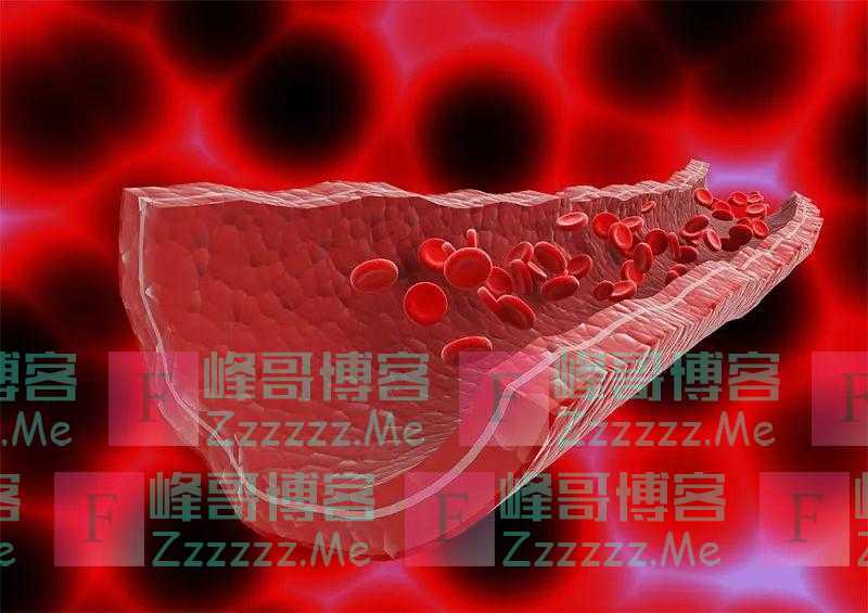 “植物中的黄金”藏在它身上！生吃、熟吃哪个更好？