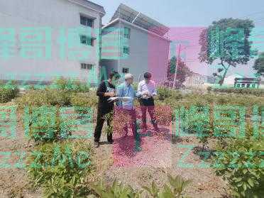 消失千年,项羽叔父的“侯国”找到了