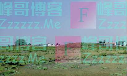 消失千年,项羽叔父的“侯国”找到了